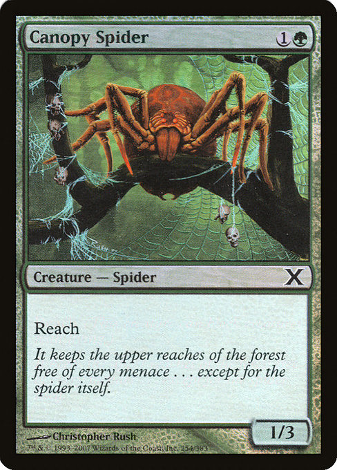 Canopy Spider – Foil