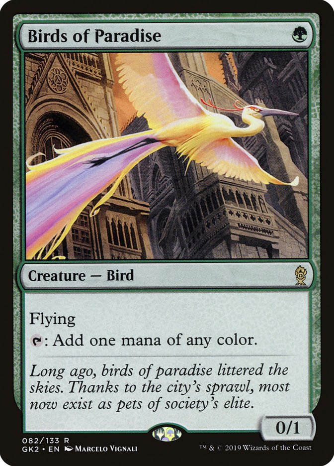 Birds of Paradise - RNA Guild Kit