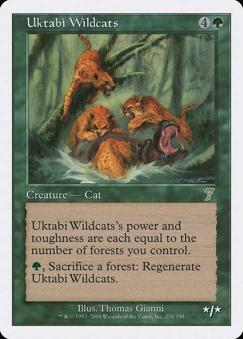 Uktabi Wildcats – Foil