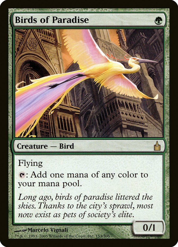 Birds of Paradise - Ravnica: City of Guilds