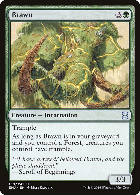 Brawn – Foil
