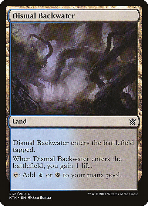 Dismal Backwater – Foil