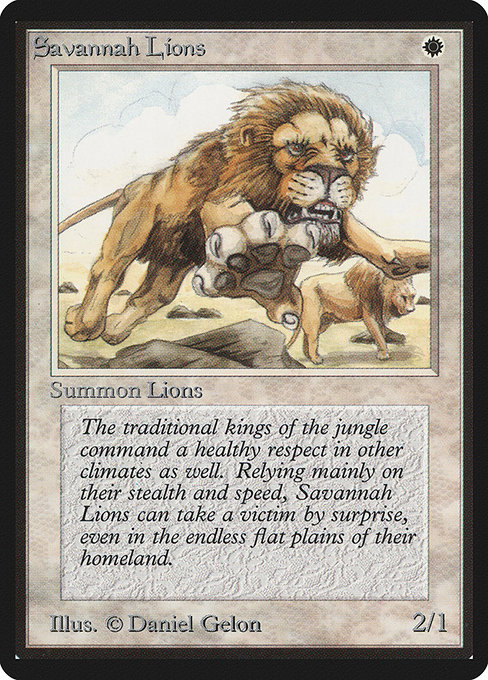 Savannah Lions – LEB