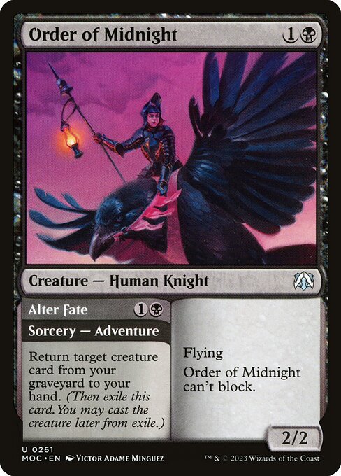 Order of Midnight // Alter Fate
