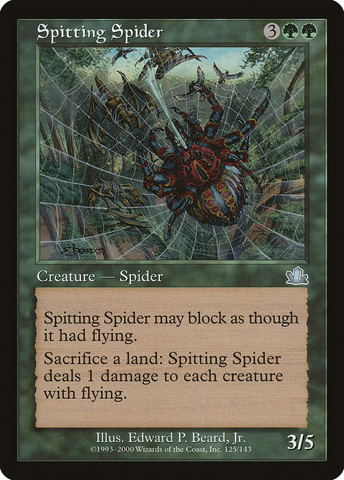 Spitting Spider – Foil