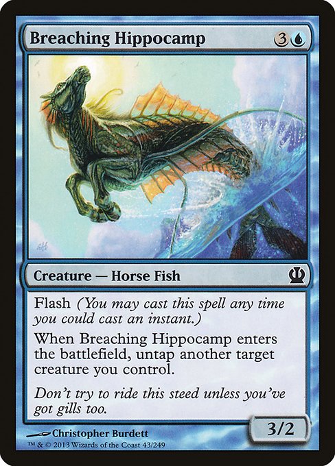 Breaching Hippocamp – Foil