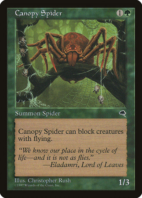 Canopy Spider – TMP