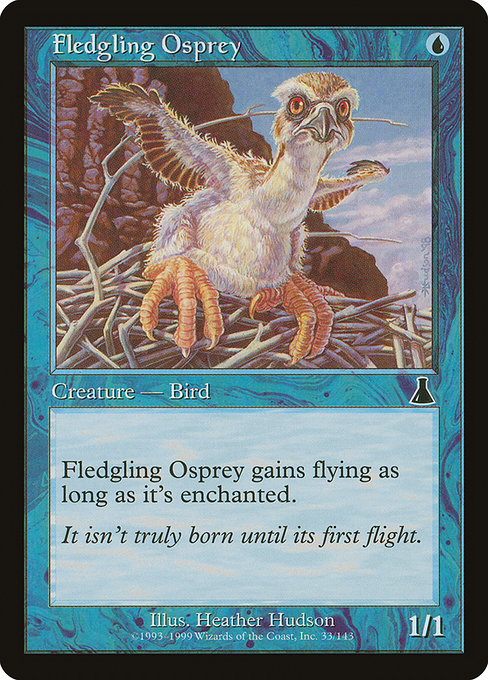 Fledgling Osprey – Foil