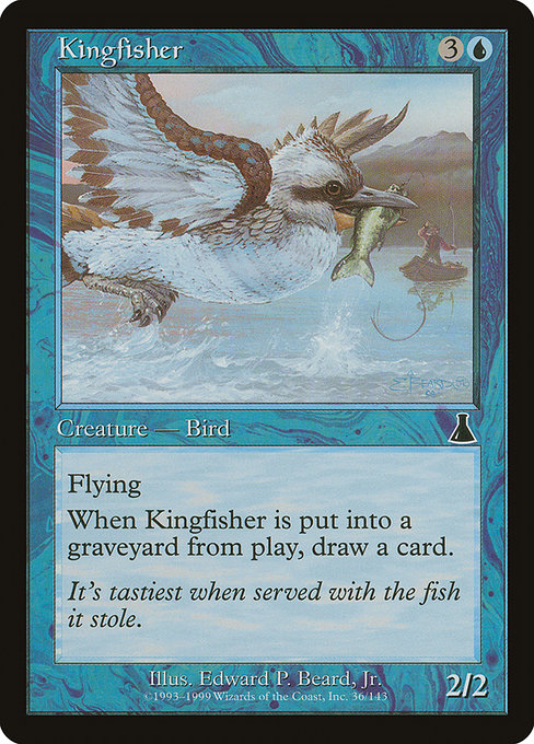 Kingfisher – Foil