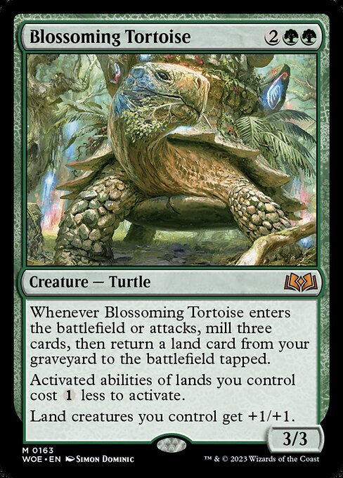 Blossoming Tortoise – WOE